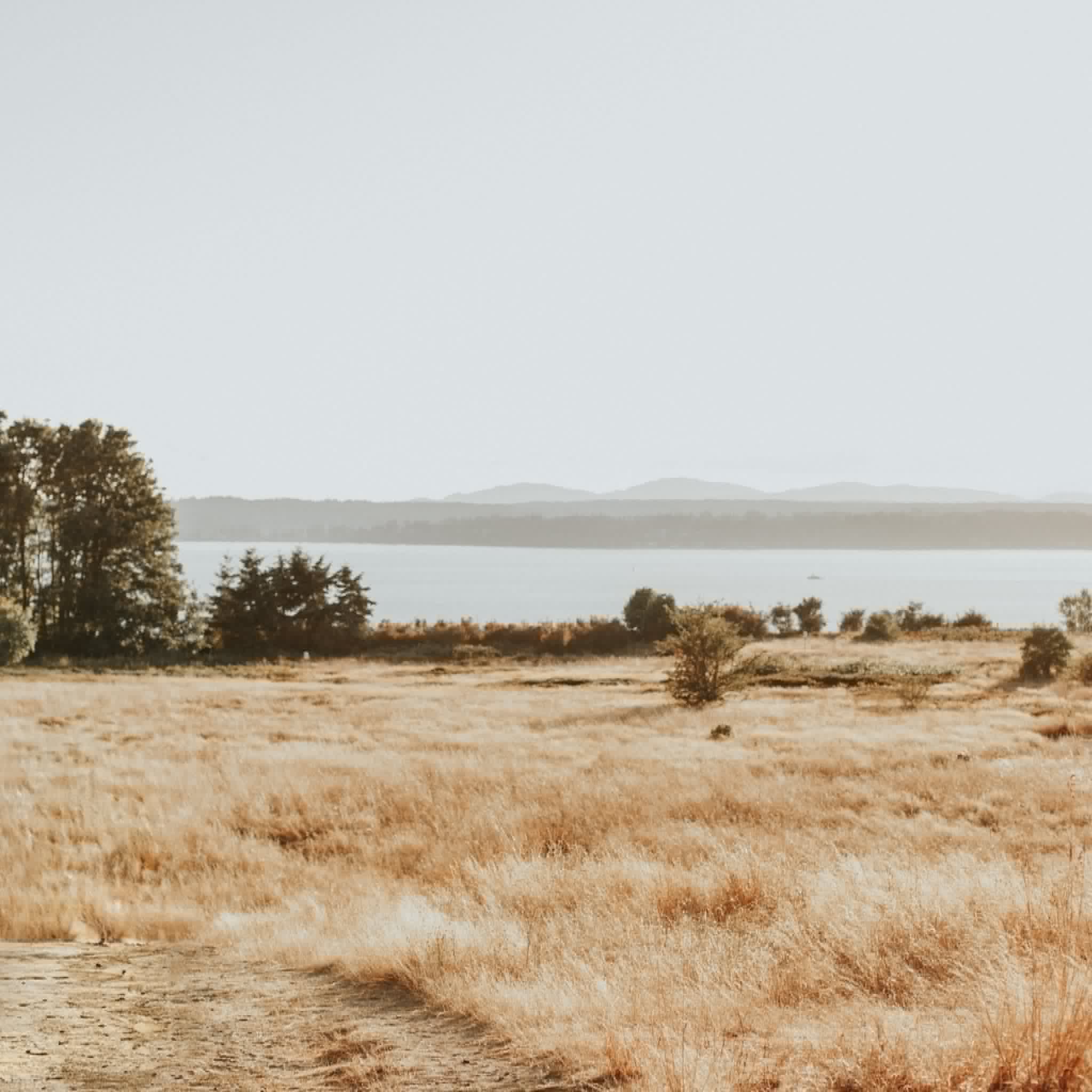 Serene Pacific Northwest grassy meadow overlooking Puget Sound and distant mountains
