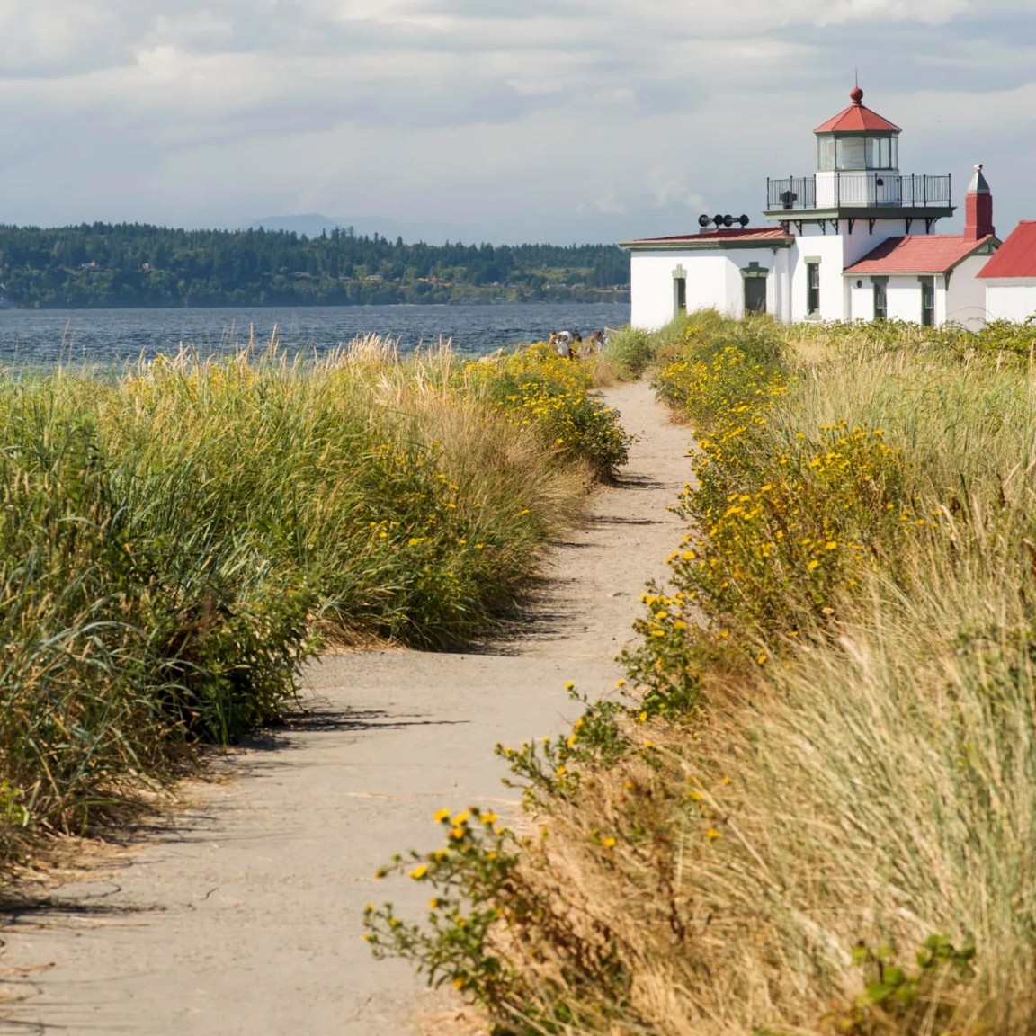 Beautiful view of the West Point Lighthouse at Discovery Park in Seattle with a wildflower path leading towards it